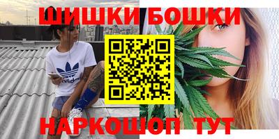 a pvp Брянск