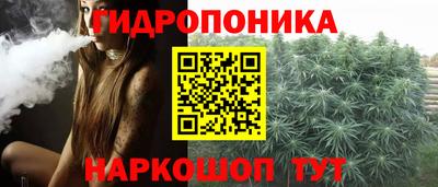 a pvp Брянск