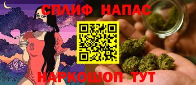 a pvp Брянск
