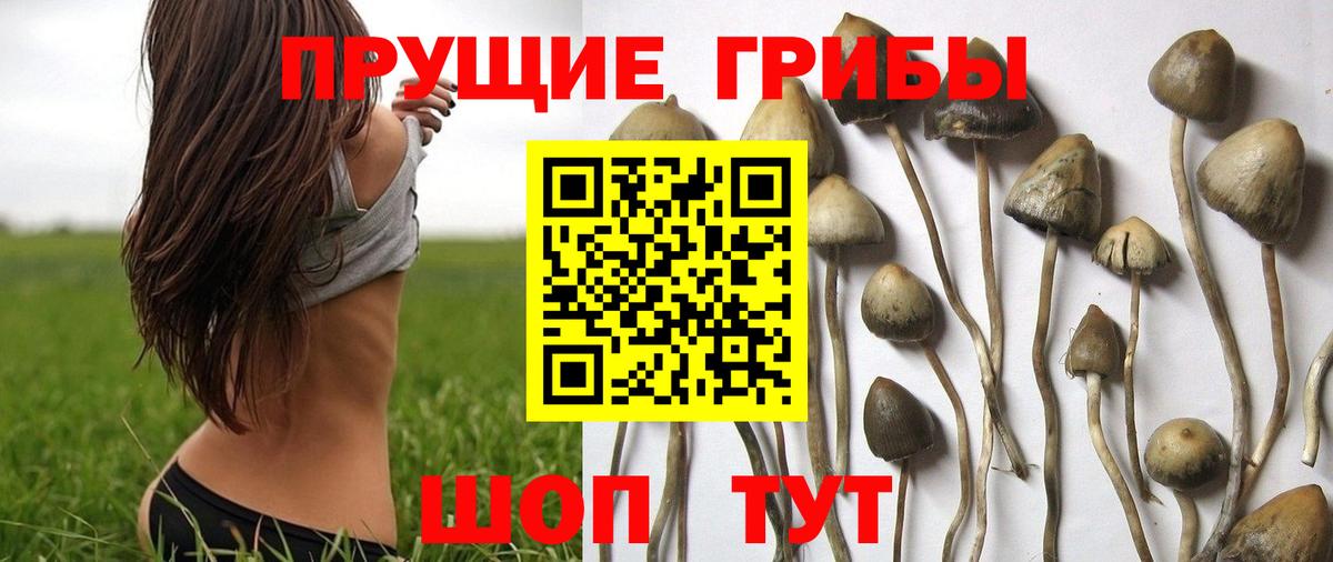 Галлюциногенные грибы мицелий  Галлюциногенные грибы мухоморы  Белебей  Вход с VPN 